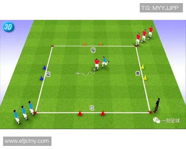 成都足球队战术解析与发展趋势探讨聚焦足球的未来之路