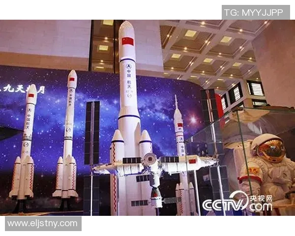 南京乒乓球队力求突破的变革之路与热议背后的深层意义