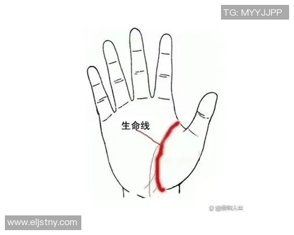 探索上海足球明星的手相秘密与人生轨迹的独特联系