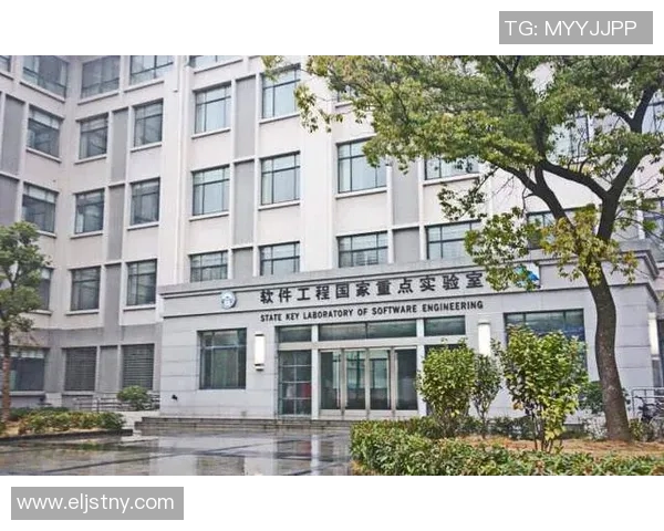 武汉排球队的辉煌崛起与钻石联赛的精彩瞬间回顾 武汉排球队的辉煌崛起与钻石联赛的精彩瞬间回顾