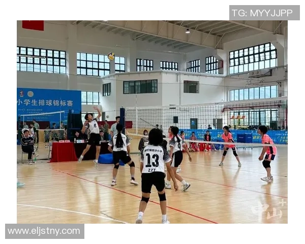 武汉排球队与深圳排球队赛后复盘团队协作的成功与不足分析