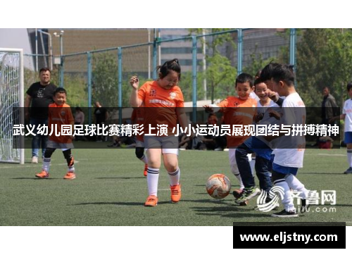 武义幼儿园足球比赛精彩上演 小小运动员展现团结与拼搏精神