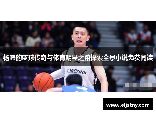 杨鸣的篮球传奇与体育明星之路探索全景小说免费阅读