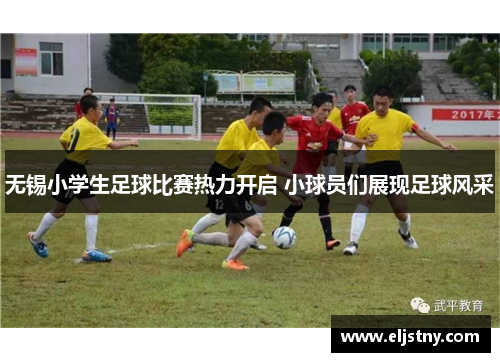 无锡小学生足球比赛热力开启 小球员们展现足球风采
